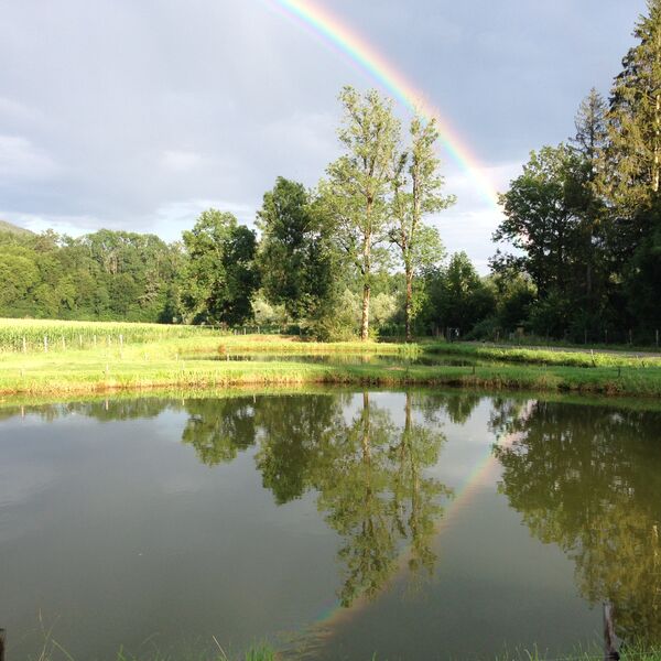 nach Regen kommt Sonnenschein und mit ihm der Regenbogen